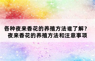 各种夜来香花的养殖方法谁了解？ 夜来香花的养殖方法和注意事项